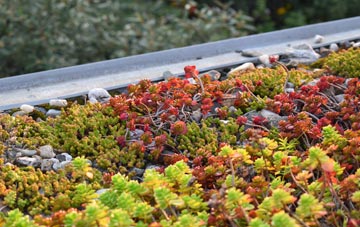the cost of Llandissilio green roof installation