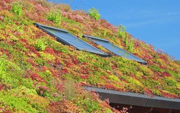 Llandissilio living roof systems