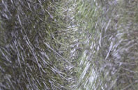 Llandissilio fibreglass roof work